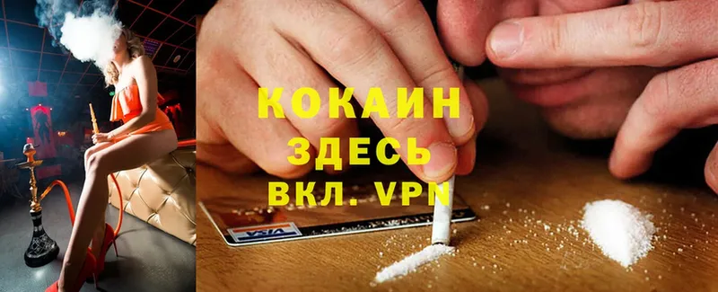 дарнет шоп  Севск  Cocaine 98% 